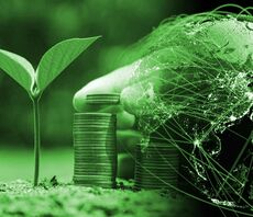 Pimfa launches online ESG Academy